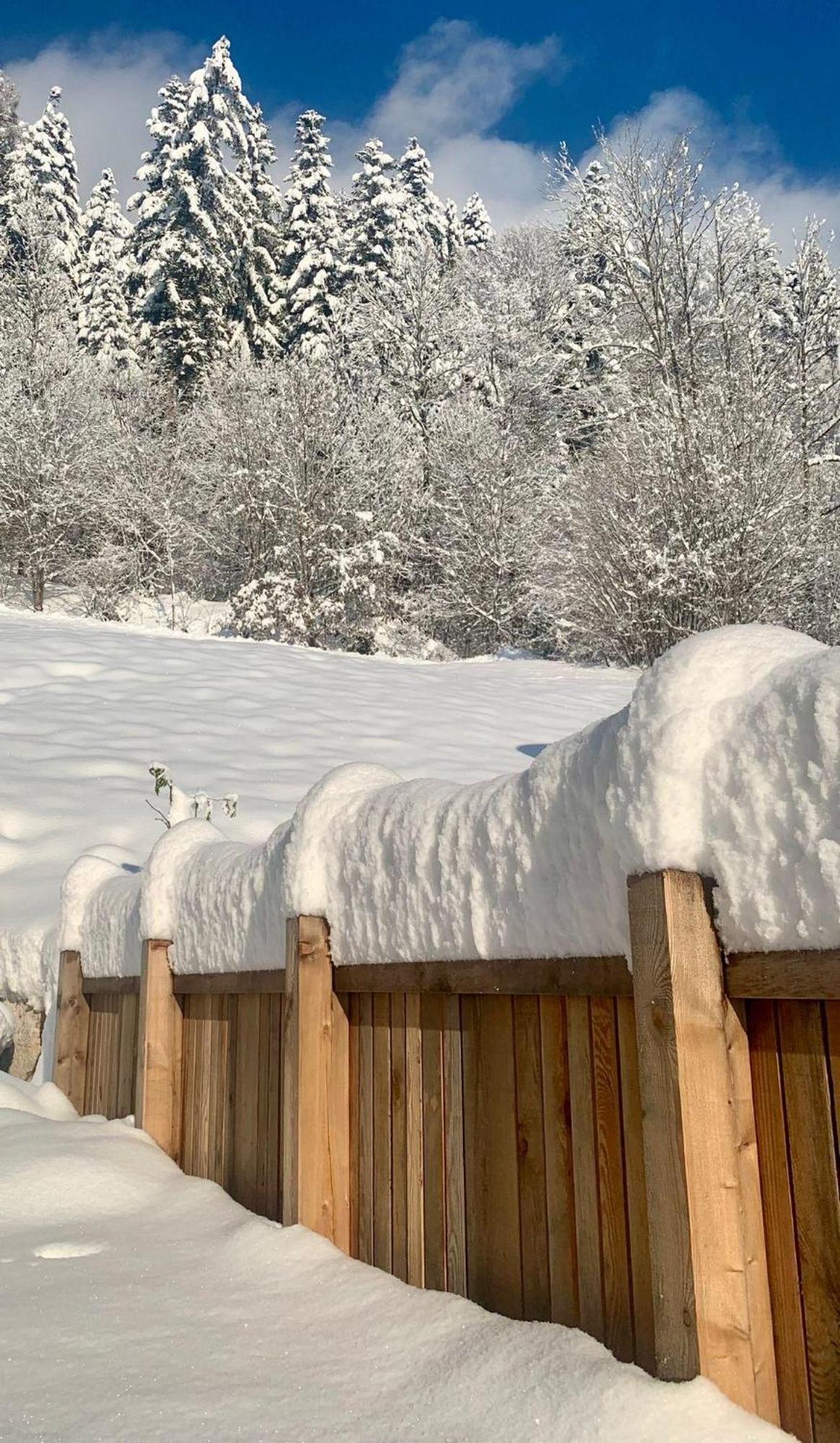 Appartement Naturbunt Söll Esterno foto